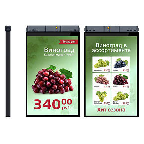 TFT-дисплей MERTECH HL101 Dual 10,1″ картинка от магазина Кассоптторг