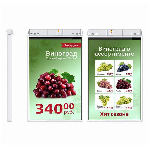 TFT-дисплей MERTECH HL101 Dual 10,1″ White                                        